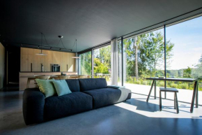 Design Apartment im Salzkammergut Hof Bei Salzburg